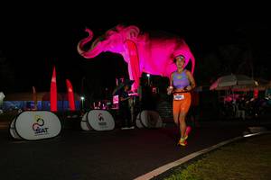 BIB: 
                            <button type="button" onclick="openModal(26544314)" class="btn btn-primary btn-sm float-right btn-popup" data-toggle="modal" data-target=".modal-high-quality">
                        <i class="fas fa-shopping-cart"></i> Add to Cart
                    </button>
                                            <button type="button" onclick="isThisMe(26544314, true)" class="btn btn-success btn-sm float-right btn-popup btn-isme hidden" data-toggle="tooltip" data-placement="bottom" title="นี่คือรูปของคุณใช่ไหม คลิกที่นี่เพื่อเอาเข้าอัลบั้ม">
                        <i class="fas fa-plus"></i> Add to album
                    </button>
                    <button type="button" onclick="isThisMe(26544314, false)" class="btn btn-warning btn-sm float-right btn-popup btn-isnotme hidden">
                        <i class="fas fa-ban"></i> Remove from album
                    </button>